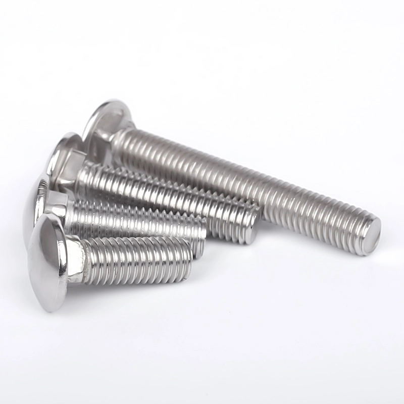 Stainless Steel Carriage Bolt Round Head Square Neck Bolt